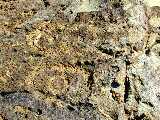 Click to see Dscn2815.jpg