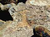 Click to see Dscn2821.jpg