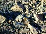 Click to see Dscn2832.jpg