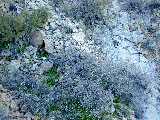 Click to see Dscn2835.jpg