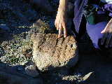 Click to see Dscn2836.jpg