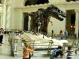 Click to see DSCN3312.JPG