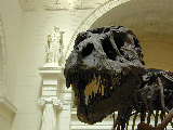 Click to see DSCN3314.JPG
