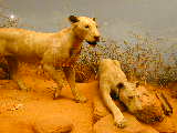 Click to see DSCN3315.JPG