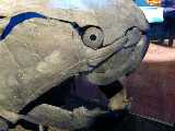 Click to see DSCN3316.JPG