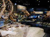 Click to see DSCN3317.JPG