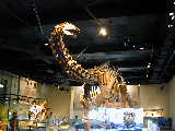 Click to see DSCN3318.JPG