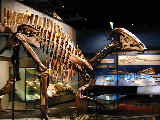 Click to see DSCN3320.JPG