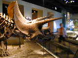 Click to see DSCN3321.JPG