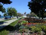 Click to see DSCN3325.JPG