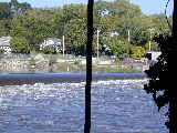 Click to see DSCN3339.JPG