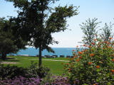 Click to see IMG_1672.JPG