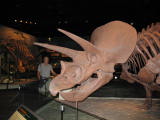 Click to see IMG_1705.JPG