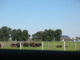 Click to see IMG_1805.JPG