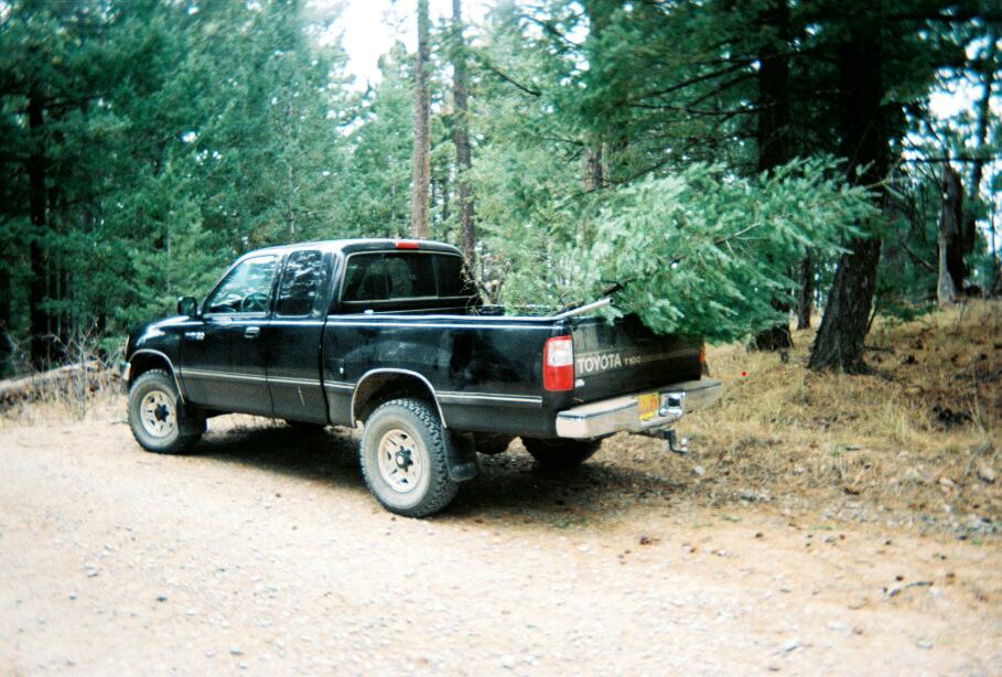 0nelly0-r1-036-16aResized.jpg