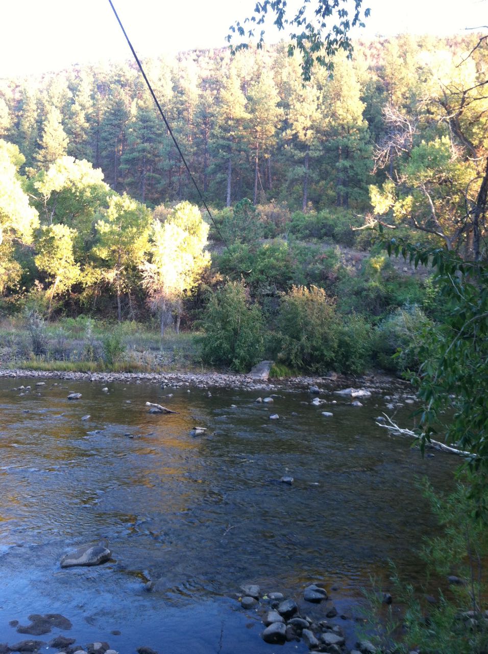 IMG_6763.jpg
