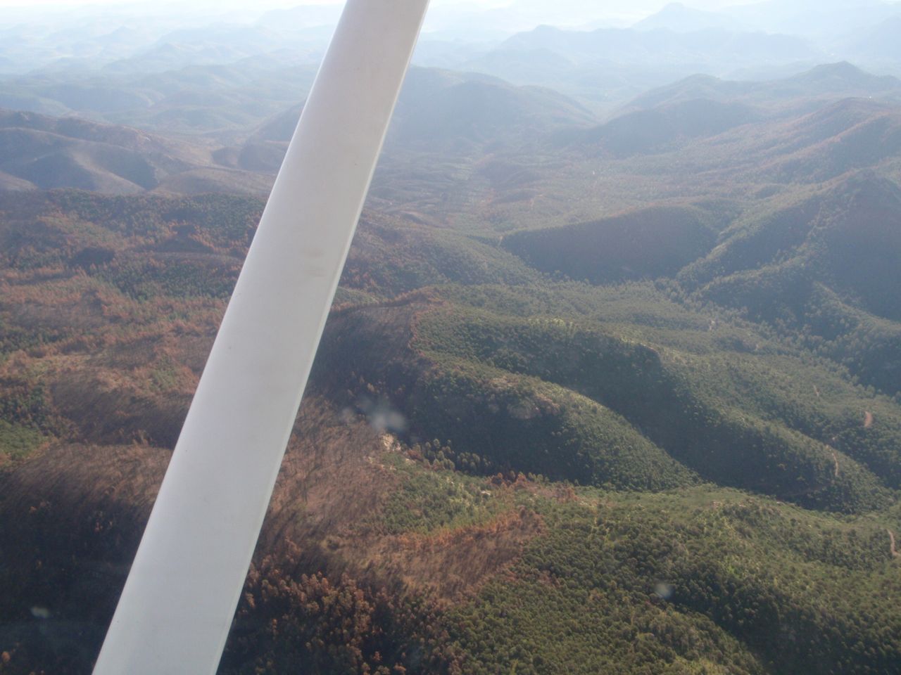 P8140015.jpg