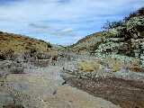 Click to see Dscn0254.jpg