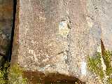 Click to see Dscn0263.jpg