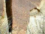 Click to see Dscn0264.jpg