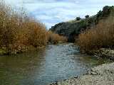 Click to see Dscn0267.jpg