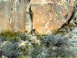Click to see Dscn0270.jpg