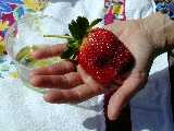 Click to see Dscn0272.jpg