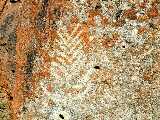 Click to see Dscn0275.jpg