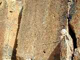 Click to see Dscn0277.jpg