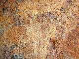 Click to see Dscn0284.jpg