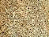 Click to see Dscn0308.jpg