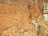 Click to see Dscn0311.jpg
