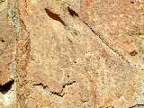 Click to see Dscn0316.jpg