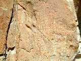 Click to see Dscn0317.jpg