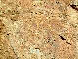 Click to see Dscn0319.jpg