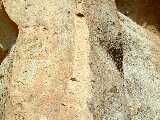 Click to see Dscn0320.jpg