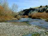 Click to see Dscn0322.jpg