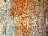Click to see Dscn0325.jpg