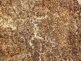 Click to see Dscn0331.jpg