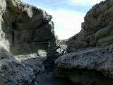 Click to see Dscn0333.jpg