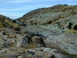 Click to see Dscn0335.jpg