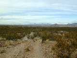 Click to see Dscn0338.jpg