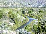 Click to see DSCN8677.JPG