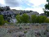 Click to see DSCN8683.JPG