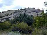 Click to see DSCN8684.JPG