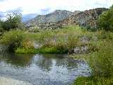 Click to see DSCN8685.JPG