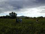 Click to see DSCN8689.JPG