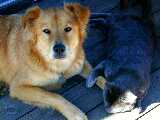 Click to see DSCN8691.JPG