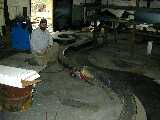 Click to see Dscn1319.jpg