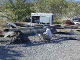 Click to see Dscn1381.jpg